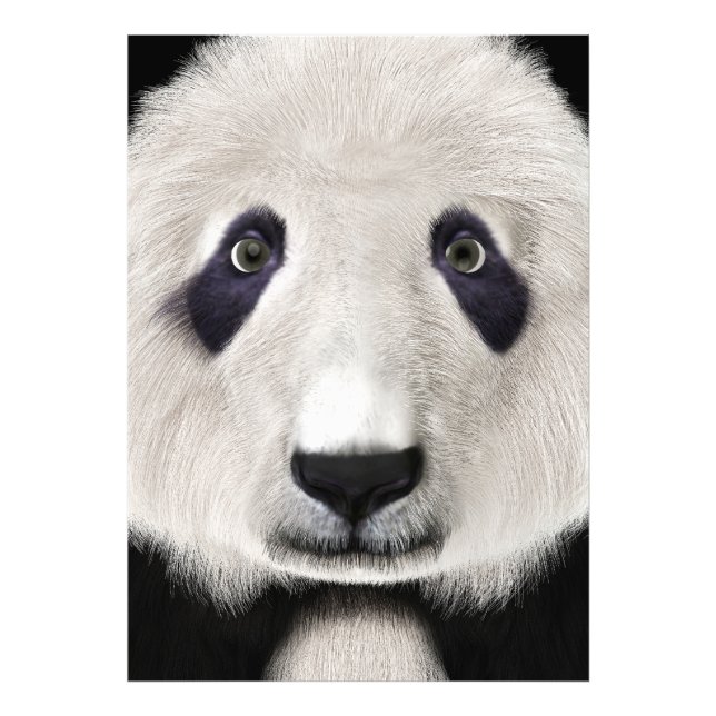 Foto Oso Panda (Frente)