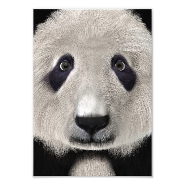Foto Oso Panda (Frente)