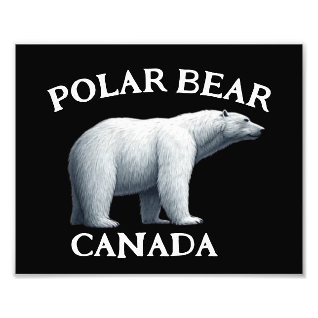 FOTO OSO POLAR (Frente)