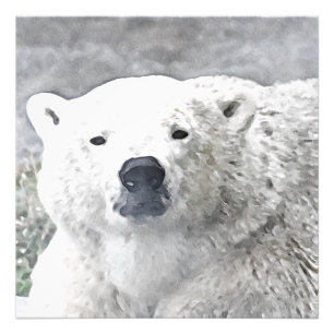 Foto Oso polar acuarela