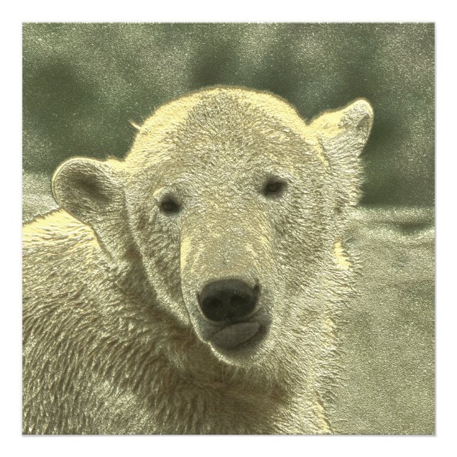 Foto oso polar metalizado (Frente)