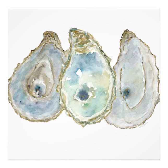 Foto Ostras de Bahía Móvil-3 (Frente)