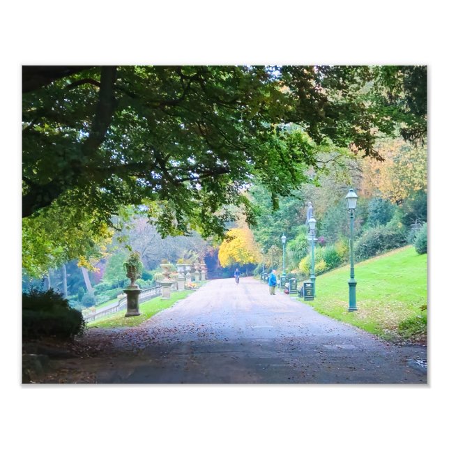 Foto Otoño  (Frente)