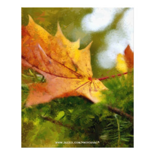 Foto Otoño