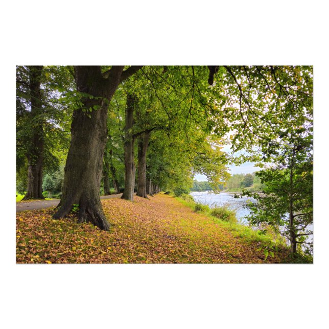 Foto Otoño (Frente)