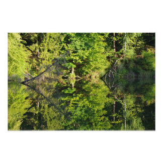 Foto Otoño