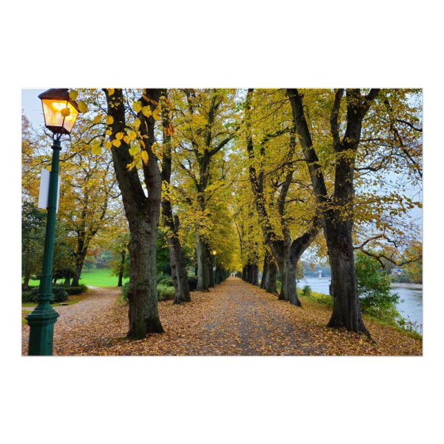 Foto Otoño (Frente)