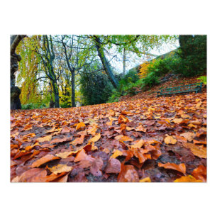 Foto Otoño