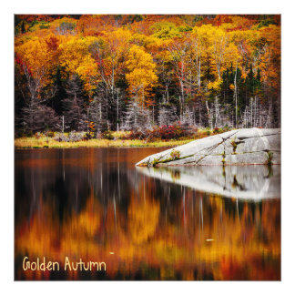 Foto Otoño dorado