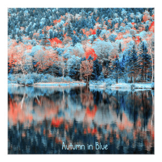 Foto Otoño en azul