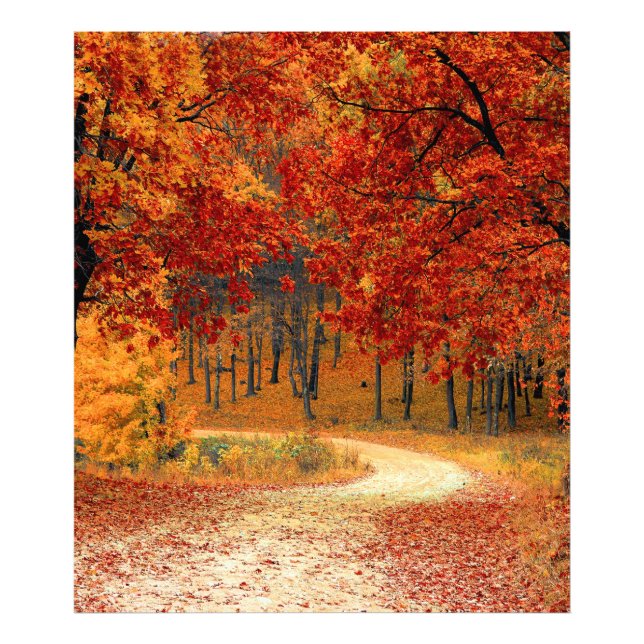 Foto otoño en el bosque (Frente)