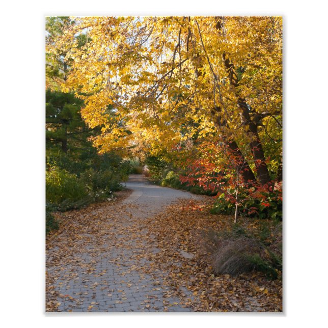 Foto Otoño en el Jardín Botánico de Madison (Frente)