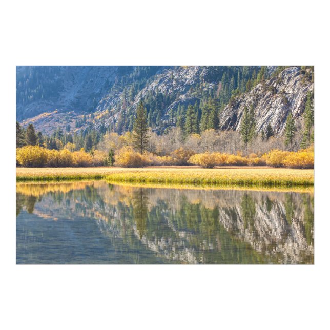 Foto Otoño en el lago (Frente)