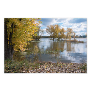 Foto Otoño en el lago de los perros negros