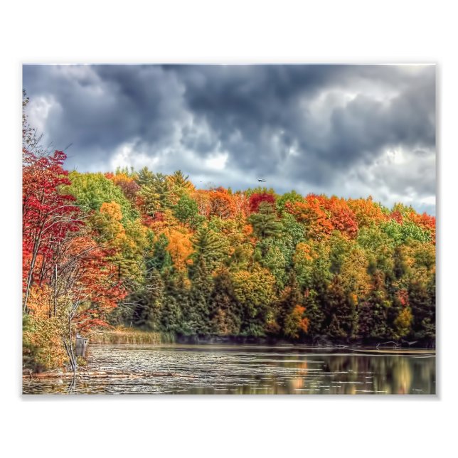 Foto Otoño en los bosques del norte (Frente)
