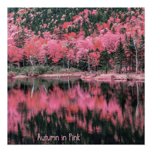 Foto Otoño en rosa (Frente)