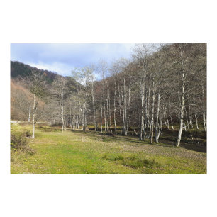 Foto Otoño temprano junto al río - Wild Nature Rumania