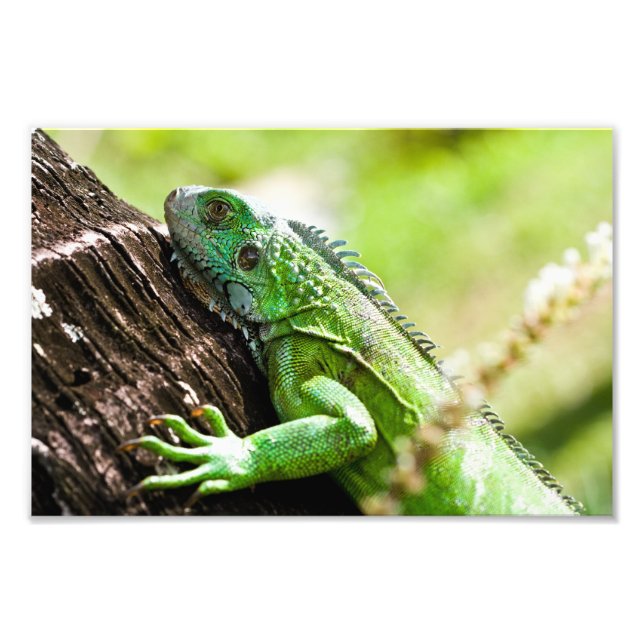 Foto otro día verde (Frente)