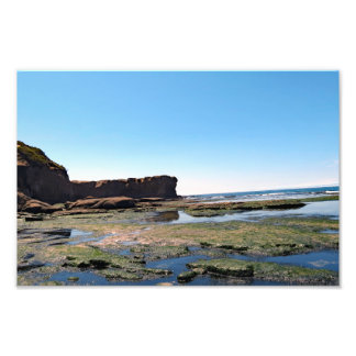 Foto Otter Escudo Beach Oregon