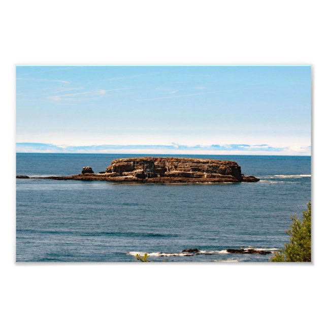 Foto Otter Escudo Beach Oregon (Frente)