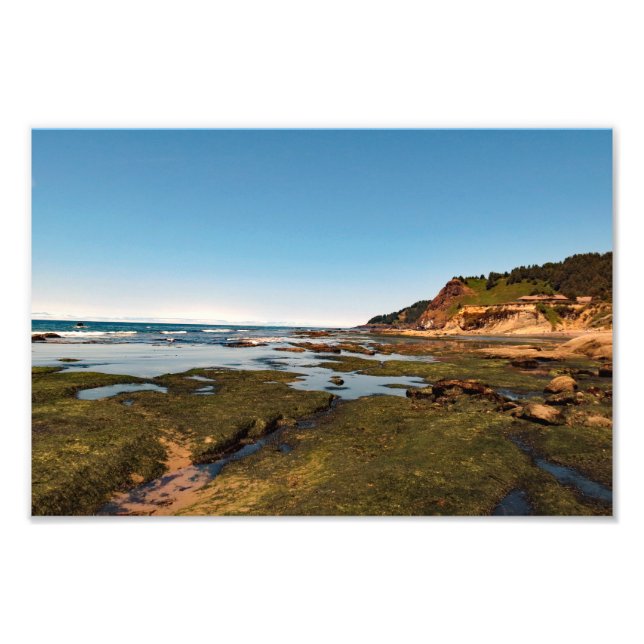 Foto Otter Escudo Beach Oregon (Frente)
