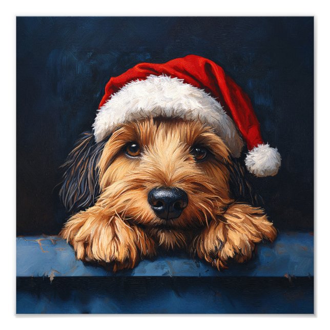 Foto Otterhound En Un Sombrero Santa (Frente)