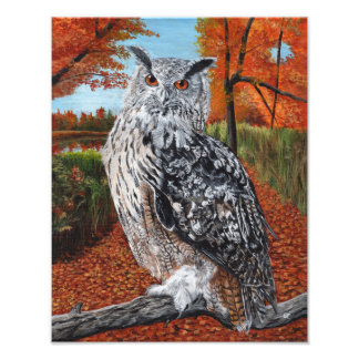 Foto Owl in Autumn Forest Fine Art