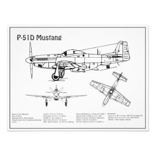 Foto P-51D Mustang - Plano aéreo BD
