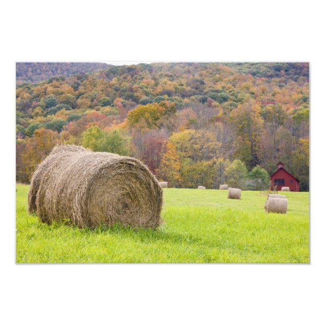 Foto Pacas de heno y follaje de otoño en granja, (Frente)