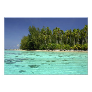 Foto Pacífico Sur, Polinesia Francesa, Moorea 2