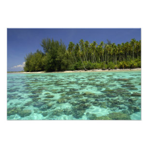 Foto Pacífico Sur, Polinesia Francesa, Moorea 3