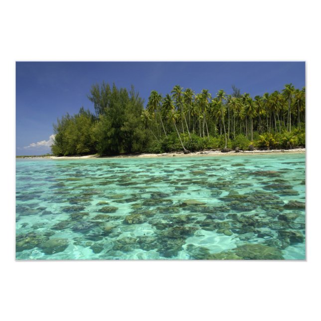 Foto Pacífico Sur, Polinesia Francesa, Moorea 3 (Frente)