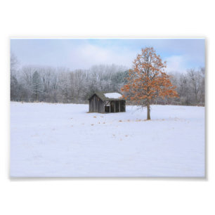 Foto Paddock cubierto de nieve