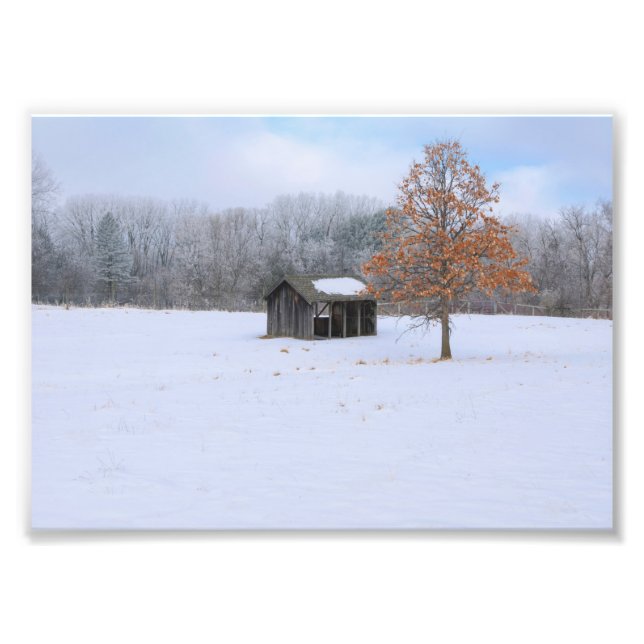 Foto Paddock cubierto de nieve (Frente)
