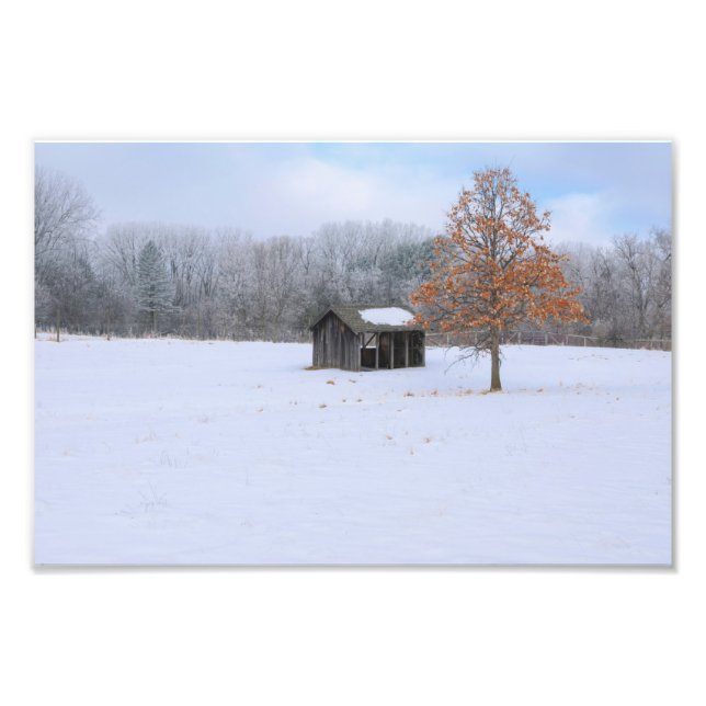 Foto Paddock cubierto de nieve (Frente)