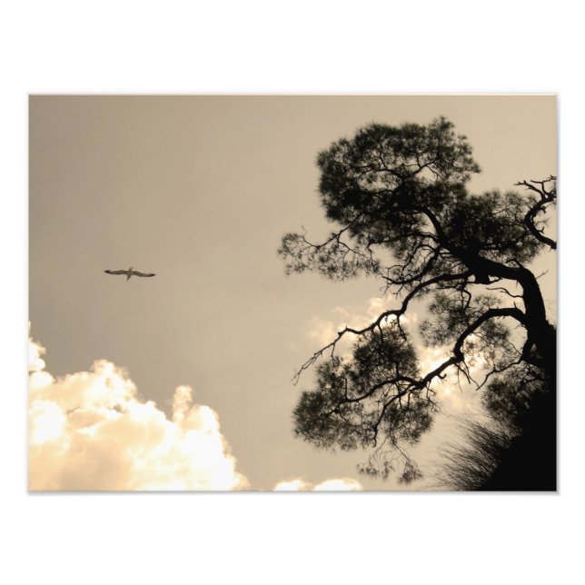 Foto paisaje (Frente)