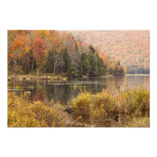 Foto paisaje de otoño con lago, Vermont, EE. UU. 2