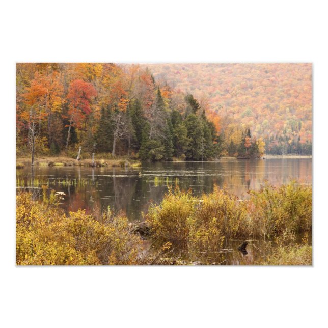 Foto paisaje de otoño con lago, Vermont, EE. UU. 2 (Frente)