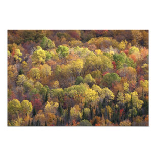 Foto paisaje de otoño, Vermont, EE. UU.