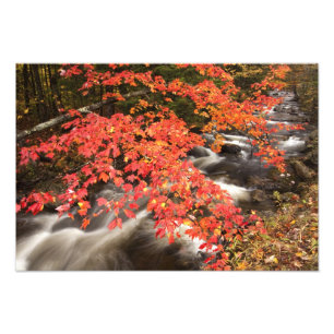 Foto paisaje de otoño, Vermont, EE. UU. 4