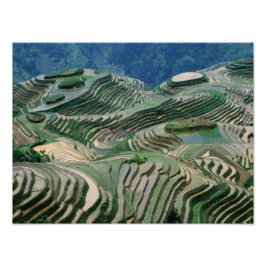 Foto Paisaje de terrazas de arroz en la montaña,