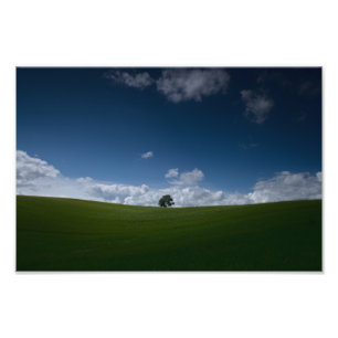 Foto Paisaje de verano (Old Linslade 8355)