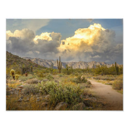 Foto Paisaje del desierto 2729-Arizona al atardecer