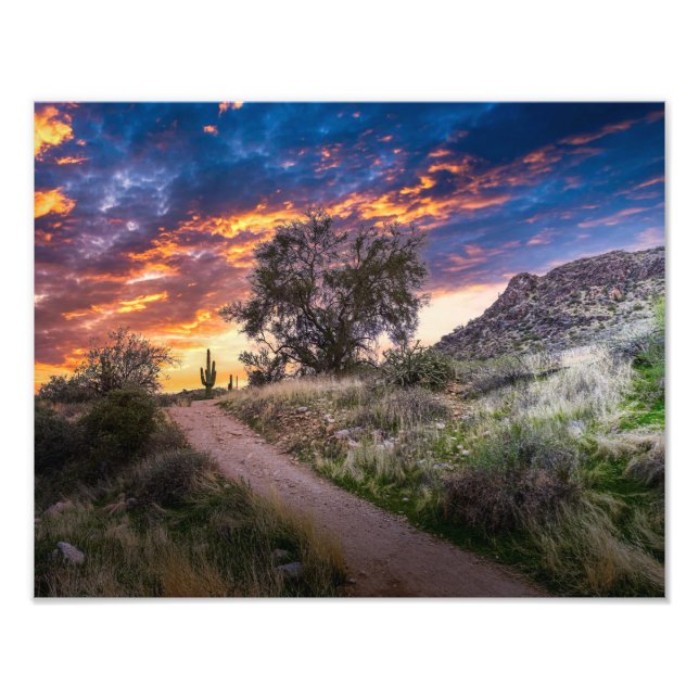 Foto Paisaje del desierto 2815 al atardecer (Frente)