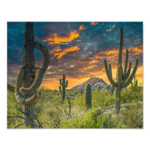 Foto Paisaje del desierto 4792-2-Desert al atardecer