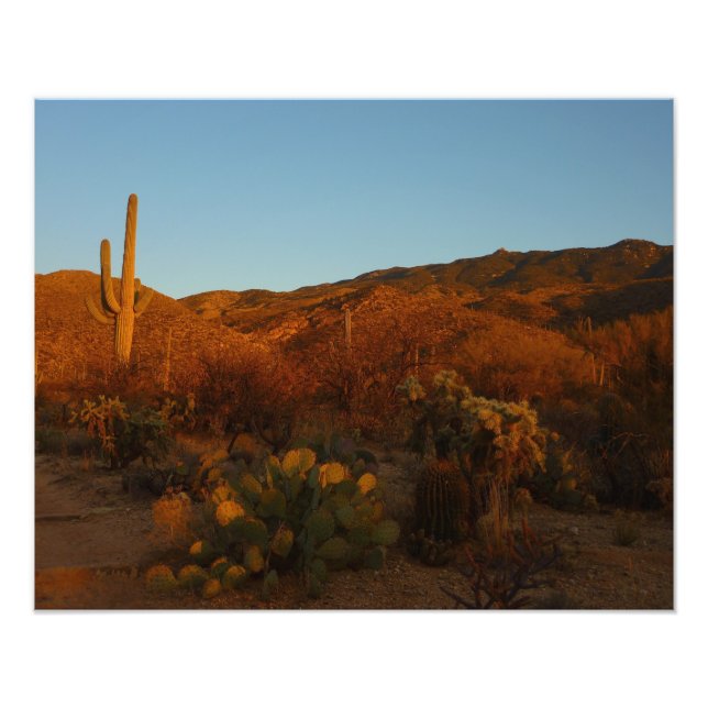 Foto Paisaje del desierto de Saguaro Sunset I Arizona (Frente)
