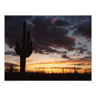 Foto Paisaje del desierto Saguaro Sunset III Arizona