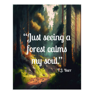 Foto Paisaje forestal