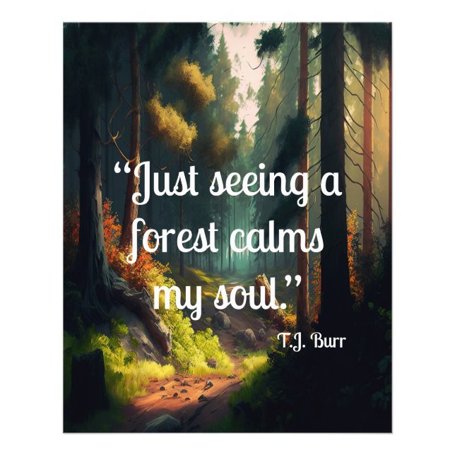 Foto Paisaje forestal (Frente)