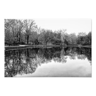 Foto Paisaje hermoso del Central Park en negro y blanco